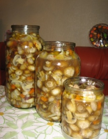 gallery/изображение 217